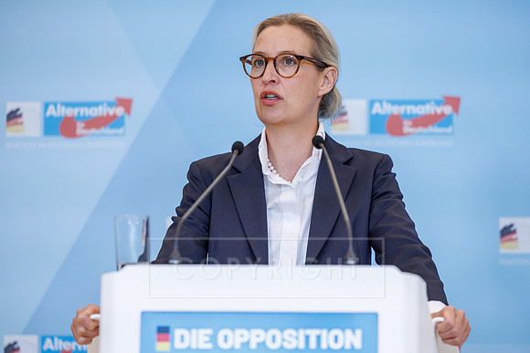 16.12.25_pressefoto-gora_1452