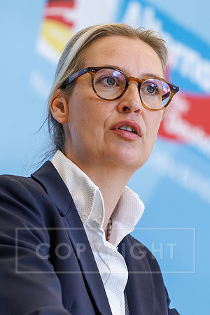 16.12.25_pressefoto-gora_1459