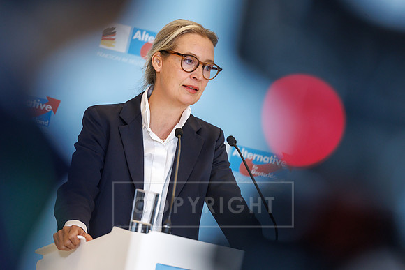 16.12.25_pressefoto-gora_1464
