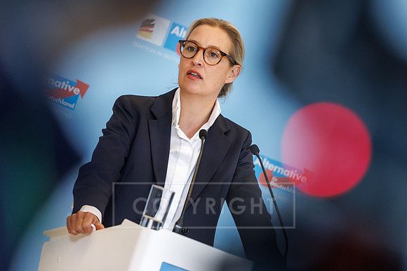 16.12.25_pressefoto-gora_1466