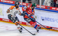 26.12.25_pressefoto-gora_2694