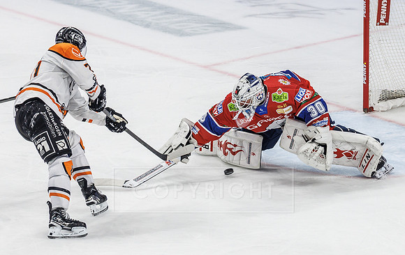 26.12.25_pressefoto-gora_2715