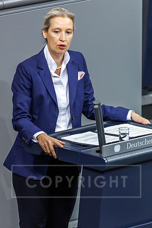 29.01.26_pressefoto-gora_5000