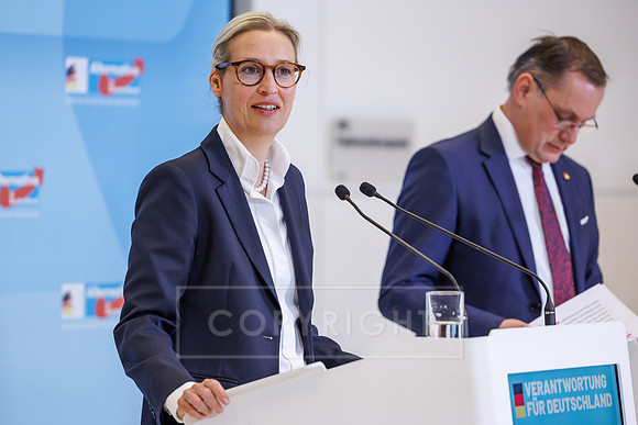 24.02.26_pressefoto-gora_10932