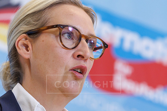 24.02.26_pressefoto-gora_10937