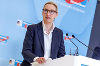 24.02.26_pressefoto-gora_10942