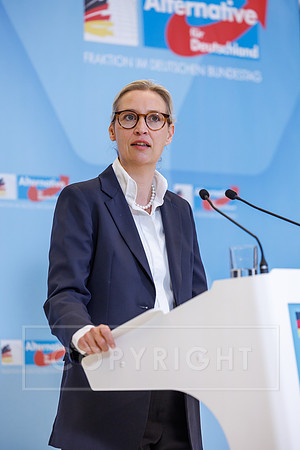 24.02.26_pressefoto-gora_10938