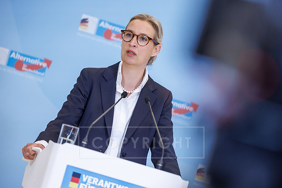 24.02.26_pressefoto-gora_10944