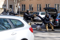 25.02.26_pressefoto-gora_11315