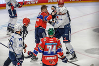 13.03.26_pressefoto-gora_00933