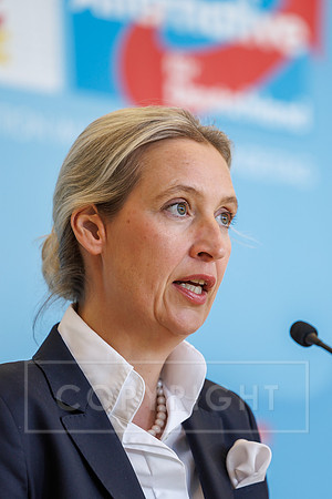 17.03.26_pressefoto-gora_00061