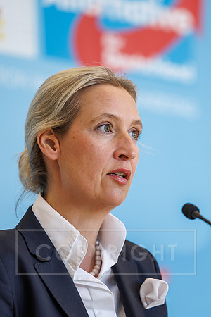 17.03.26_pressefoto-gora_00062