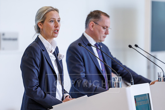 17.03.26_pressefoto-gora_00063