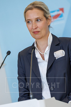 17.03.26_pressefoto-gora_00072