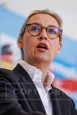 24.03.26_pressefoto-gora_00714