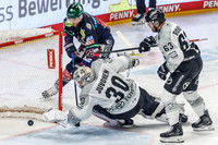 18.3.2026 Eisbären Belin vs Kölner Haie
