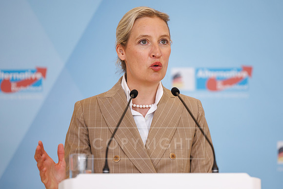 pressefoto-gora 486