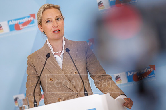 pressefoto-gora 623