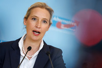 21.4.2026 Statement AfD