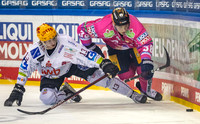 211029_pressefoto-gora_013