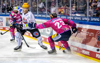211029_pressefoto-gora_005