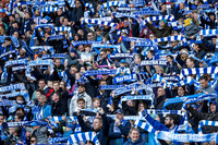 Hertha vs Kiel