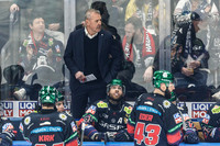 Eisbären Berlin