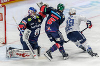 Eisbären Berlin