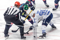 Eisbären Berlin
