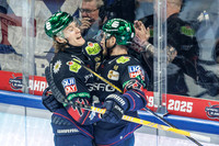 Eisbären Berlin