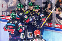 Eisbären Berlin