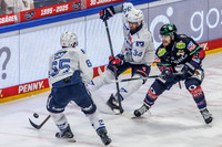 Eisbären Berlin