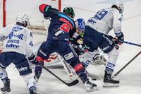 Eisbären Berlin