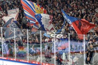 Eisbären Berlin