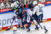 Eisbären Berlin
