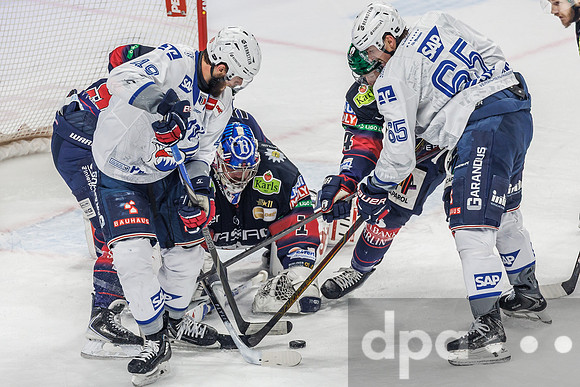 Eisbären Berlin