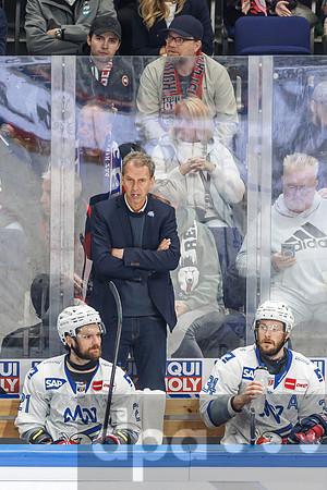 Eisbären Berlin