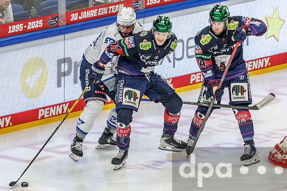 Eisbären Berlin