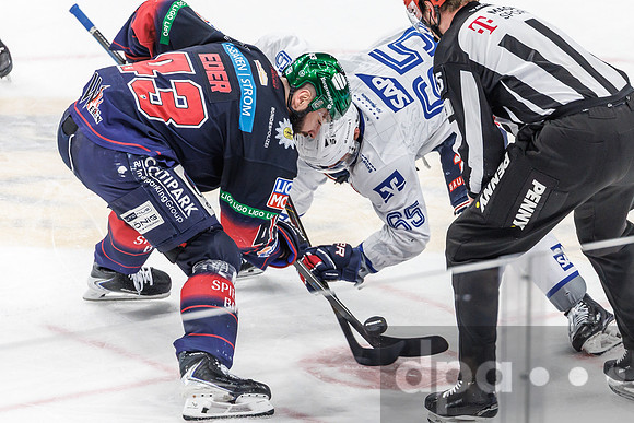 Eisbären Berlin