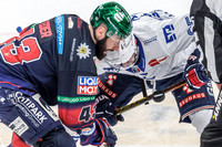26.4.2026 Eisbären Berlin - Adler Mannheim