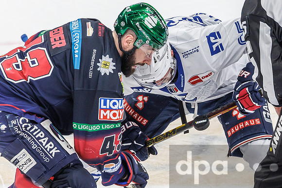 Eisbären Berlin