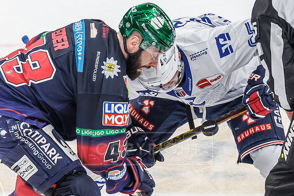 Eisbären Berlin vs Adler Mannheim