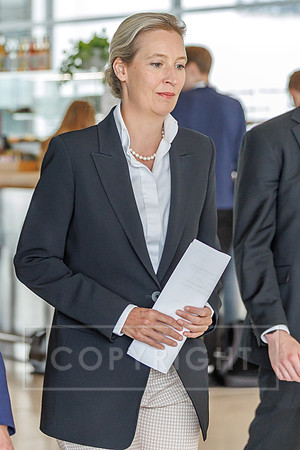 09.06.26_pressefoto-gora_003