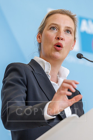 09.06.26_pressefoto-gora_021