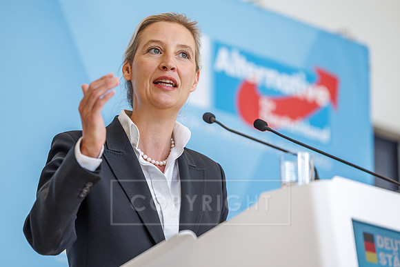 09.06.26_pressefoto-gora_020