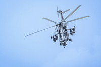 10.06.26_pressefoto-gora_009 _1