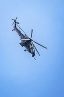 10.06.26_pressefoto-gora_019