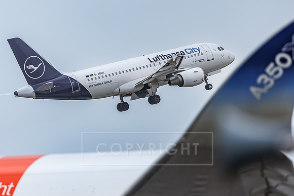 12.06.26_pressefoto-gora_0272