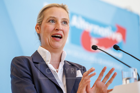 23.06.26_pressefoto-gora_0206