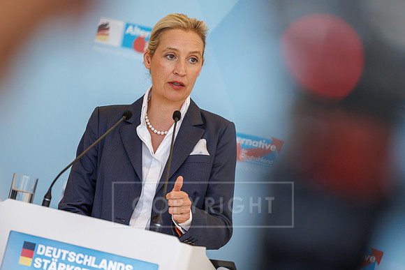 23.06.26_pressefoto-gora_0212